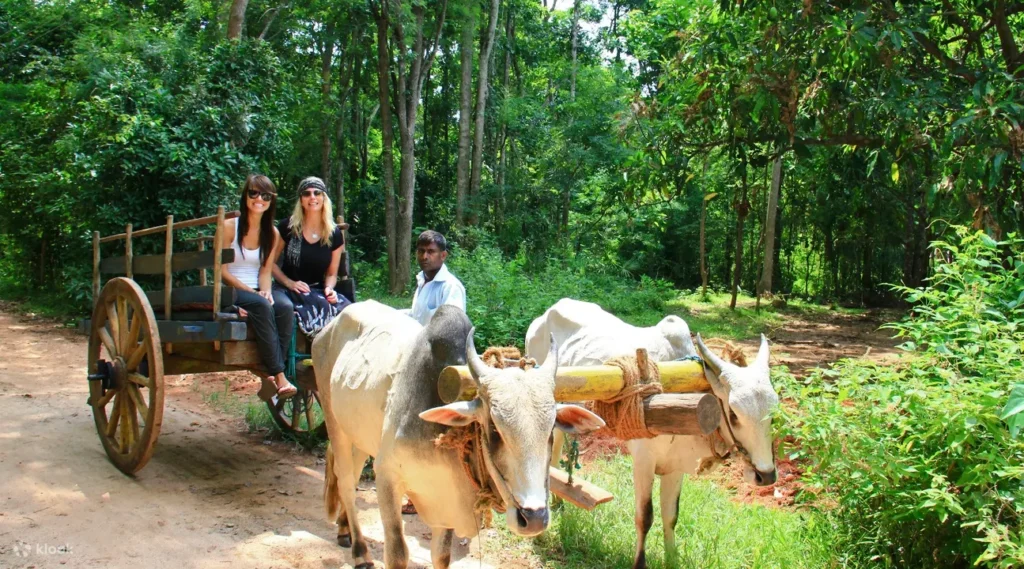 Experience the Eighth Wonder: Sigiriya Lion Rock Fortress Day Tour & Village Immersion